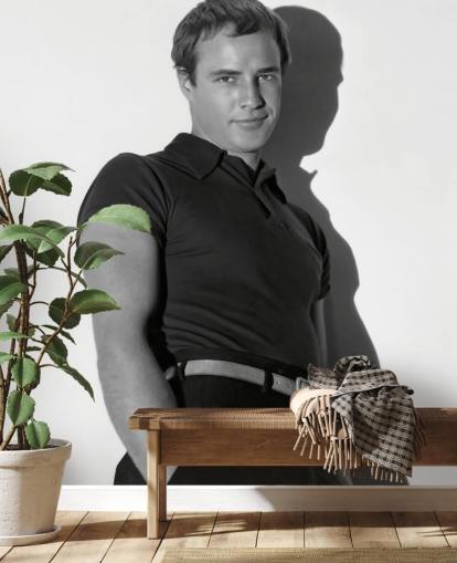 papier peint mural d'acteur en noir et blanc appelé Marlon Brando pour les chambres, les salons et les bureaux à domicile