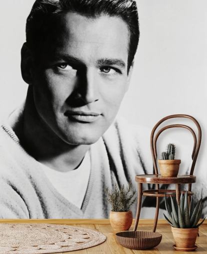 black and white actor wallpaper mural called Paul Newman for bedrooms, living rooms and home offices