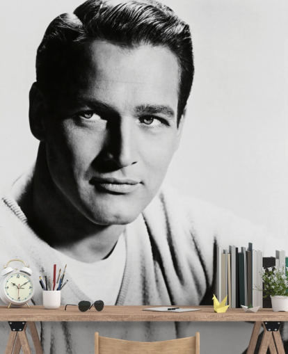 zwart-wit acteur behangmuurschildering genaamd Paul Newman voor slaapkamers, woonkamers en thuiskantoren zwart-wit acteur behangmuurschildering genaamd Paul Newman voor slaapkamers, woonkamers en thuiskantoren