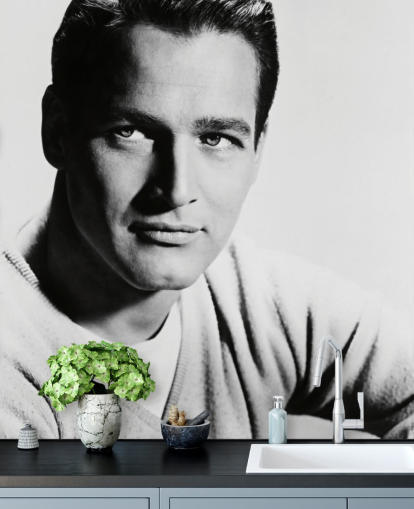 black and white actor wallpaper mural called Paul Newman for bedrooms, living rooms and home offices black and white actor wallpaper mural called Paul Newman for bedrooms, living rooms and home offices