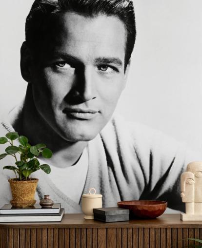 black and white actor wallpaper mural called Paul Newman for bedrooms, living rooms and home offices