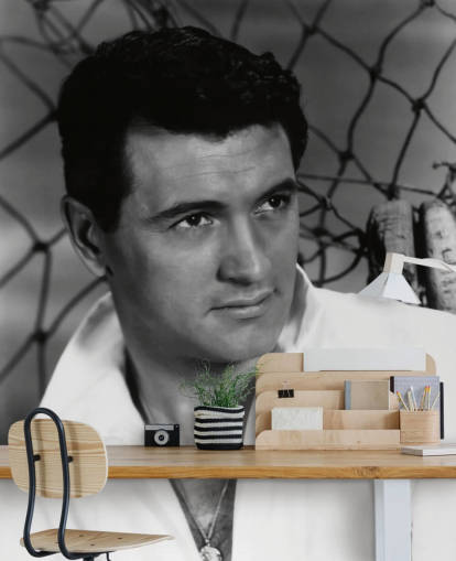 black and white rock hudson wallpaper mural called Rock Hudson