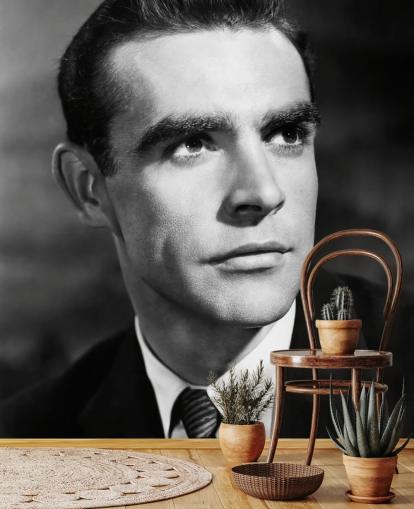 mural de Sean Connery en blanco y negro llamado Sean Connery (Another Time, Another Place)