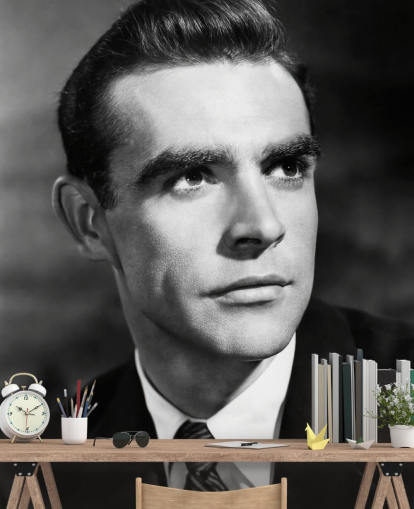 mural de Sean Connery en blanco y negro llamado Sean Connery (Another Time, Another Place)