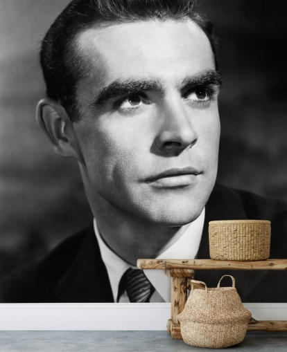 black and white sean connery mural called Sean Connery (Another Time, Another Place) black and white sean connery mural called Sean Connery (Another Time, Another Place)