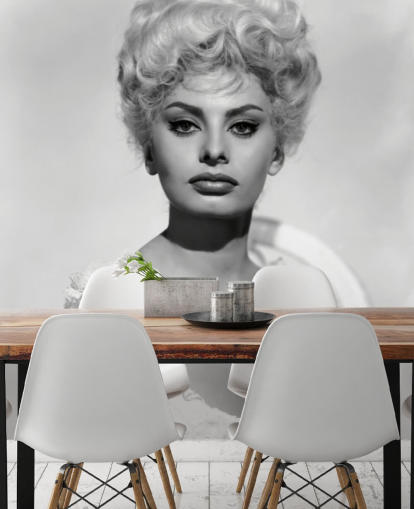 black and white sophia loren wallpaper called Sophia Loren (Heller in Pink Tights) for bedrooms and living rooms