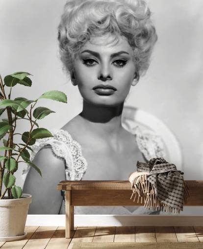 black and white sophia loren wallpaper called Sophia Loren (Heller in Pink Tights) for bedrooms and living rooms