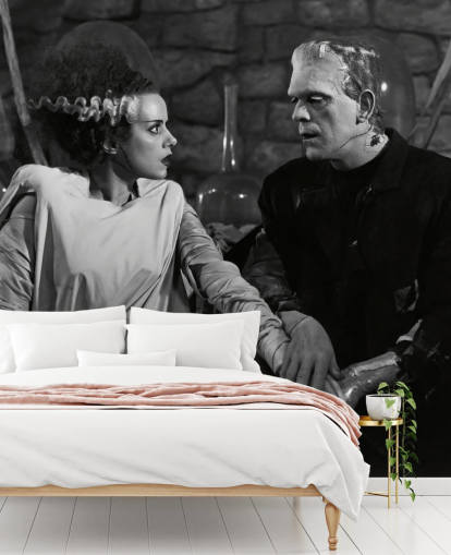 mustavalkoinen klassinen elokuvan taustakuvamaalaus nimeltä Boris Karloff & Elsa Lanchester (Frankensteinin morsian) makuuhuoneisiin ja olohuoneisiin