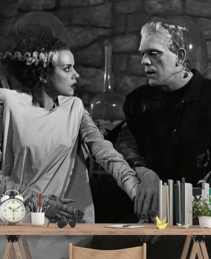 black and white classic movie wallpaper mural called Boris Karloff & Elsa Lanchester (Bride of Frankenstein) for bedrooms and living rooms black and white classic movie wallpaper mural called Boris Karloff & Elsa Lanchester (Bride of Frankenstein) for bedrooms and living rooms