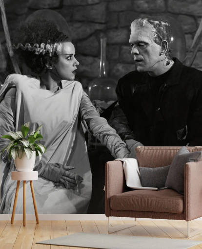 zwart-wit klassieke filmbehangmuurschildering genaamd Boris Karloff & Elsa Lanchester (Bride of Frankenstein) voor slaapkamers en woonkamers