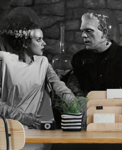 papier peint mural de film classique en noir et blanc appelé Boris Karloff et Elsa Lanchester (La Fiancée de Frankenstein) pour les chambres et les salons