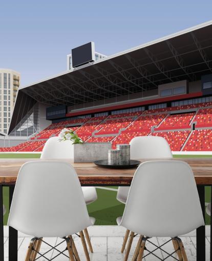 green and red brentford football club wallpaper called Gtech Community Stadium Football Stadium by Matthew J I Wood