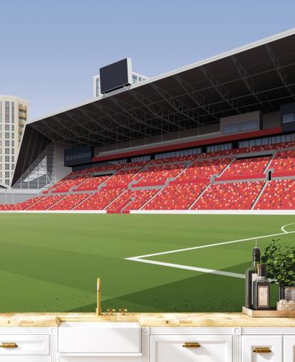 green and red brentford football club wallpaper called Gtech Community Stadium Football Stadium by Matthew J I Wood