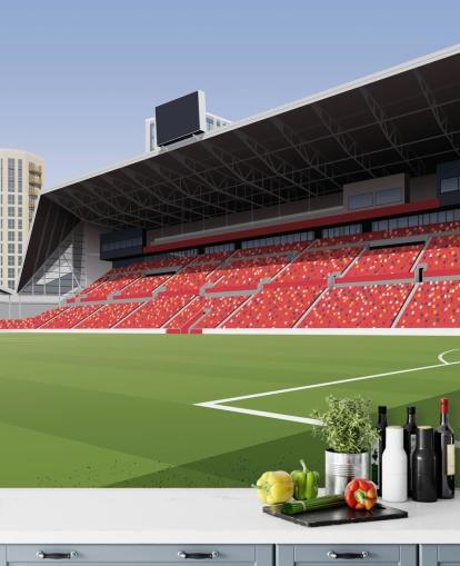 green and red brentford football club wallpaper called Gtech Community Stadium Football Stadium by Matthew J I Wood