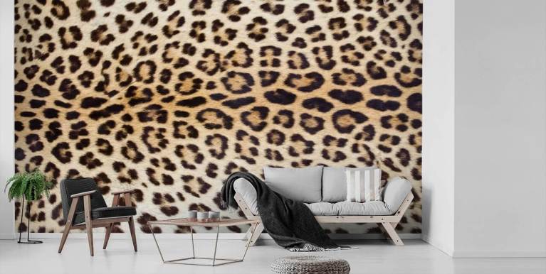 21 Cheetah print wallpaper ideas  cheetah print wallpaper, print wallpaper,  animal print wallpaper