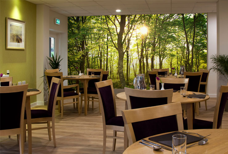forest-mural-in-care-home