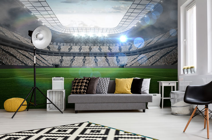 football stadium trendy man cave