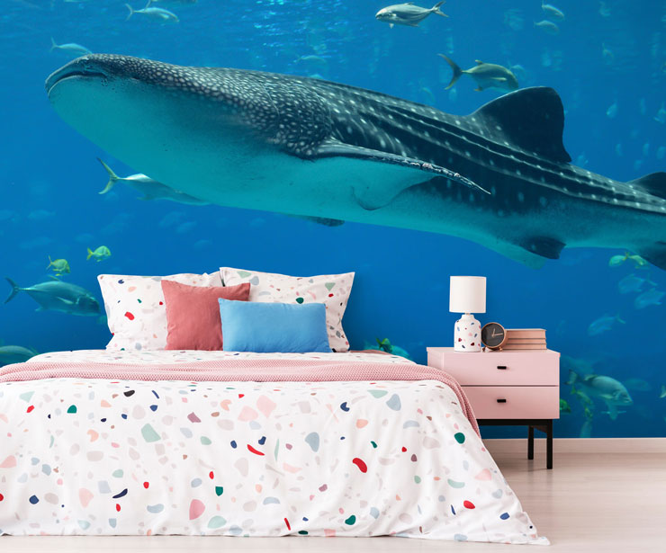 under the sea whale shark in modern guest bedroom