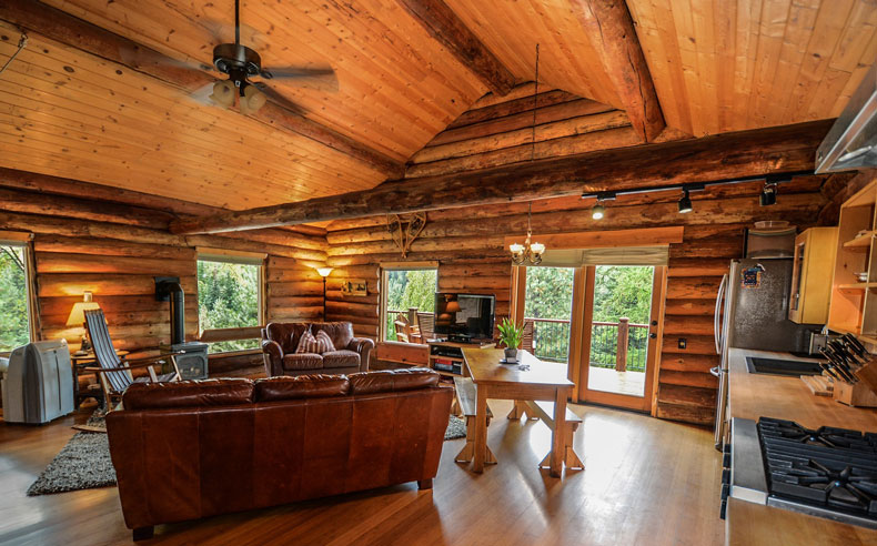 cosy log cabin open plan living room and kitchen