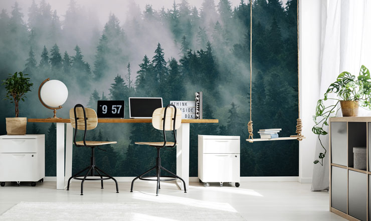 mist covered alpine forest in trendy office