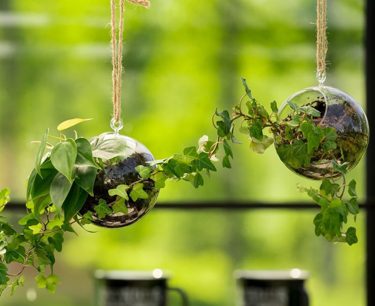 glass balls hanging from string containing green plants