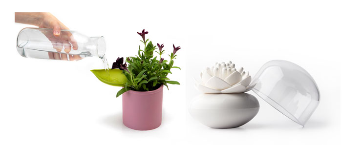 watering plant leaf and white lotus cotton bud holder