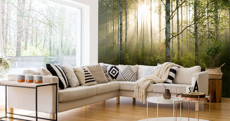 sunny birch tree woodland wall mural in lounge with l-shaped sofa