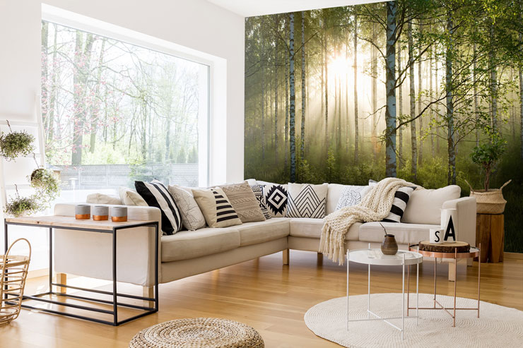 sun drenched birch forest in trendy lounge with l-shaped sofa'