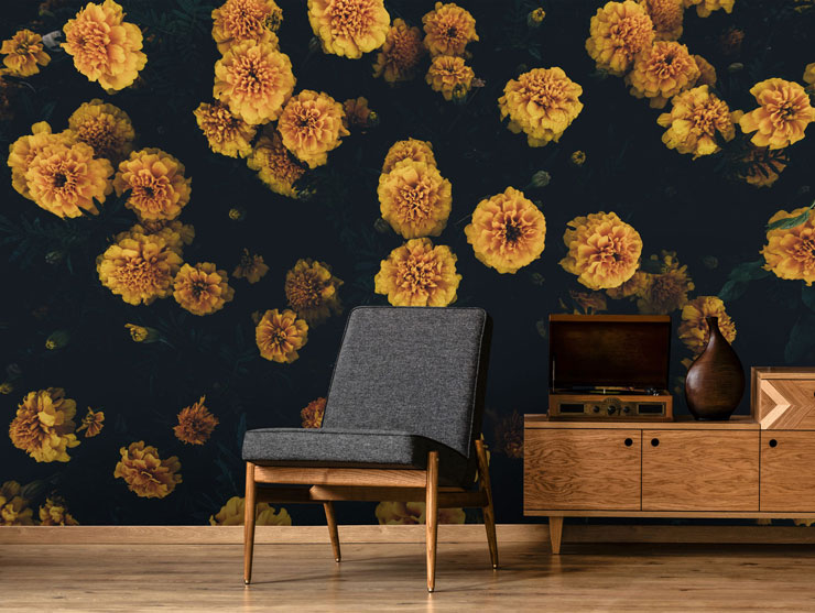 photography of dark yellow marigolds in minimalist lounge