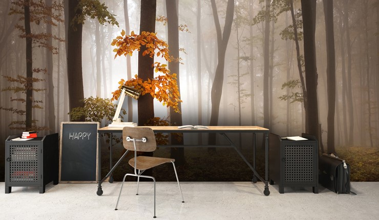 misty morning in autumn forest wallpaper in minimalist office
