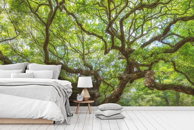 green branches of huge oak tree wallpaper in calm, white and grey bedroom