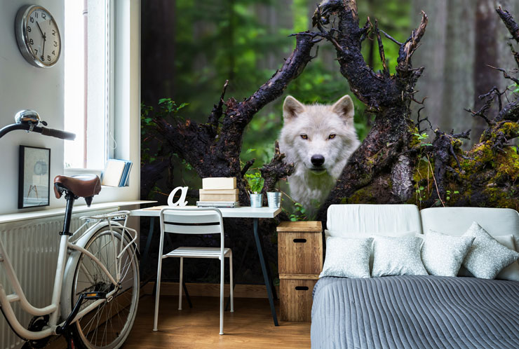 white wolf peering through fallen tree branches in woodland wallpaper in stylish bedroom