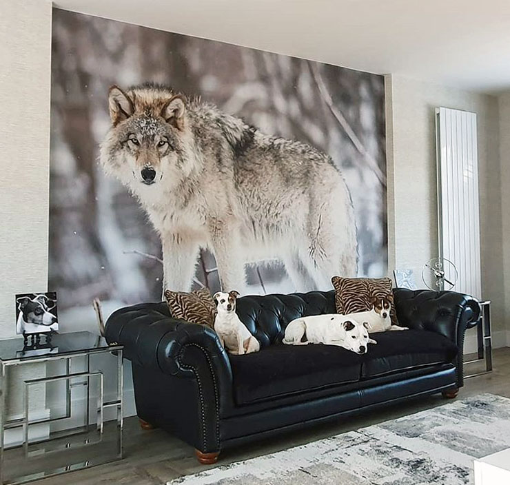 wolf stood in snow wall mural in black and white lounge with dogs led on black leather sofa