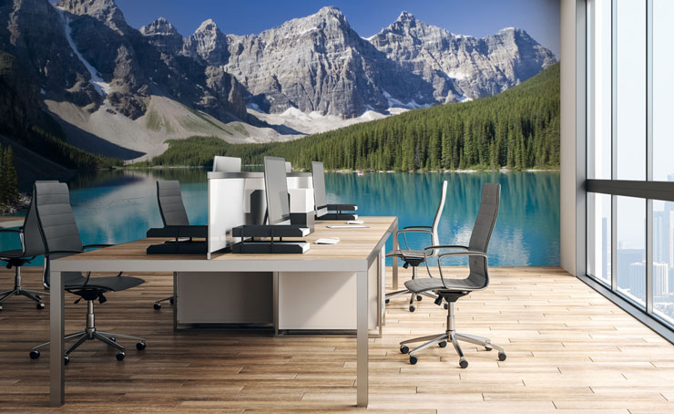 lake view with surrounding trees and snowy mountains wallpaper in modern office space