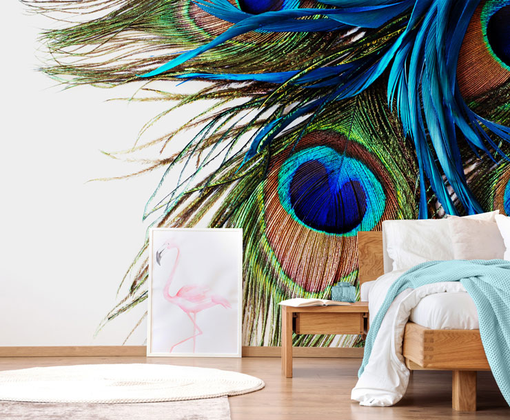 close up of peacock feathers in modern bedroom