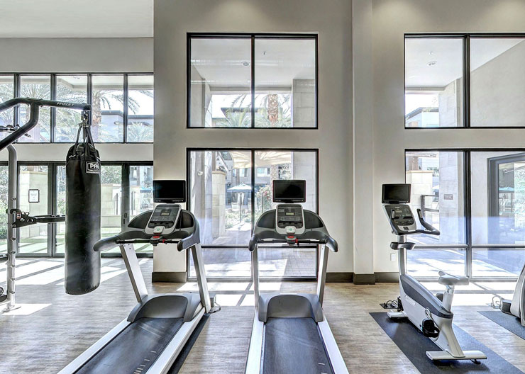 light, airy and modern residential gym