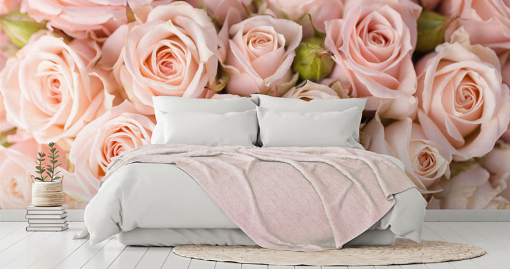 powder pink roses photo wallpaper in calm bedroom