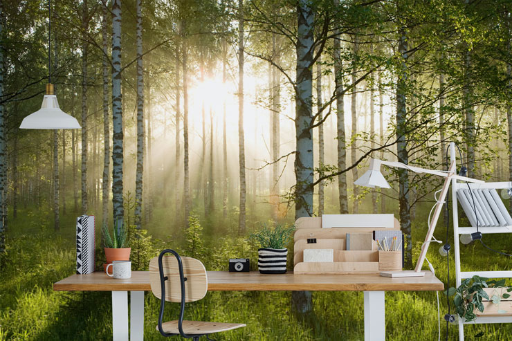 green birch forest wallpaper in trendy students desk area