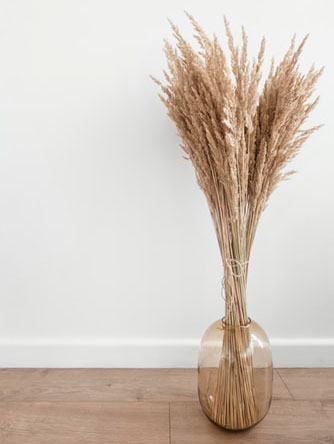 beige pampas grass in a clear vase stood on the floor