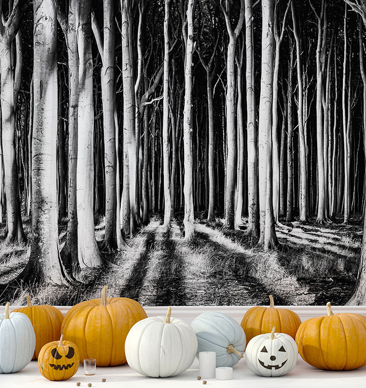black and white scary forest wallpaper in room with orange and white pumpkins