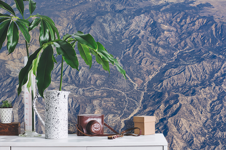 aerial view of dry and hot california mountains wallpaper on wall beside shelf with plant and camera on it