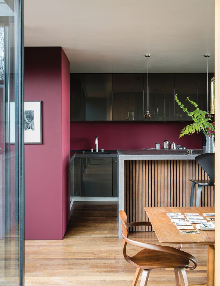 ox blood-red painted walls in trendy kitchen