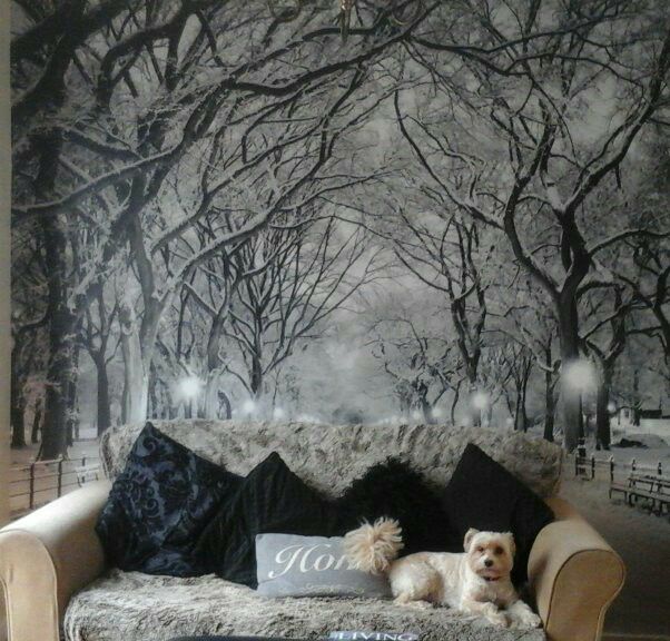 black and white snowy park wall mural with beige sofa and cute white dog sat on it