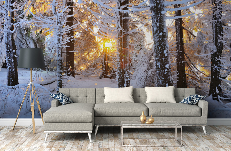 snowy forest with sunlight peeking through the trunks in grey, trendy lounge