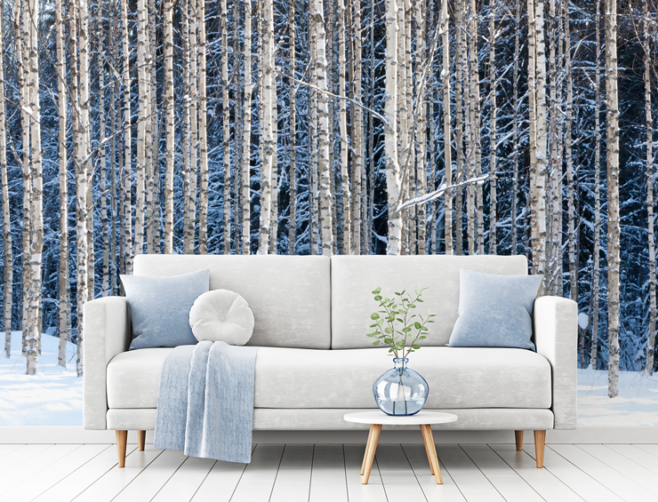 white and light-blue living room with birches covered in snow feature wall