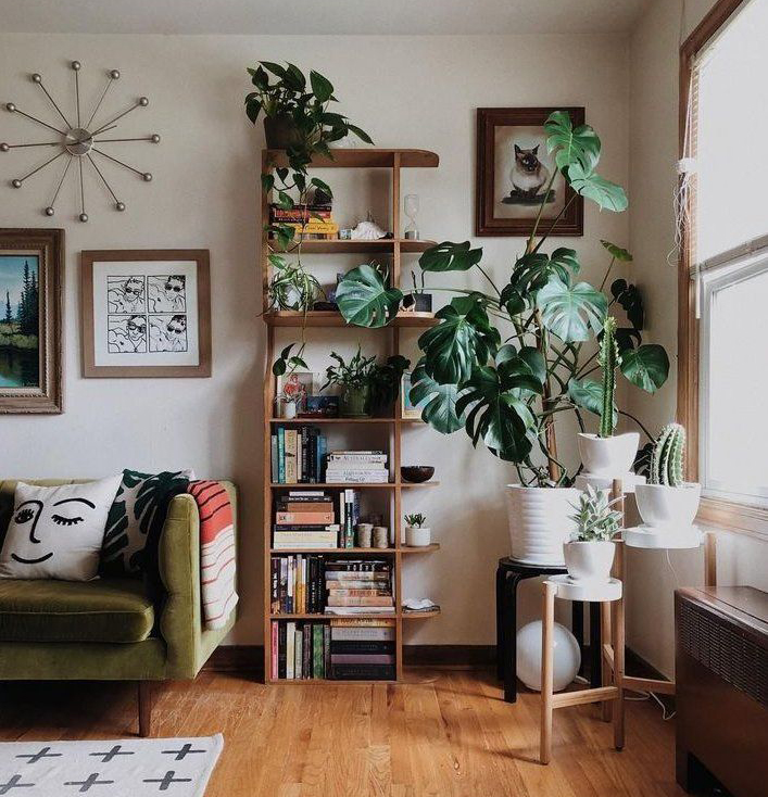 trendy living room with green sofa, book shelves and lots of green tropical plants