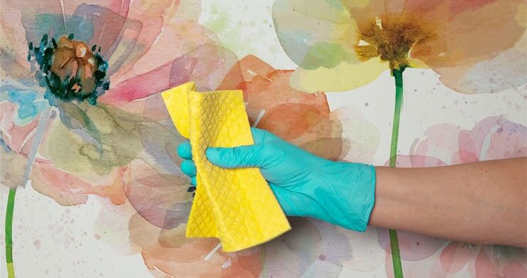 watercolour painting of poppies wallpaper with hand wearing rubber glove in front of it holding a yellow sponge