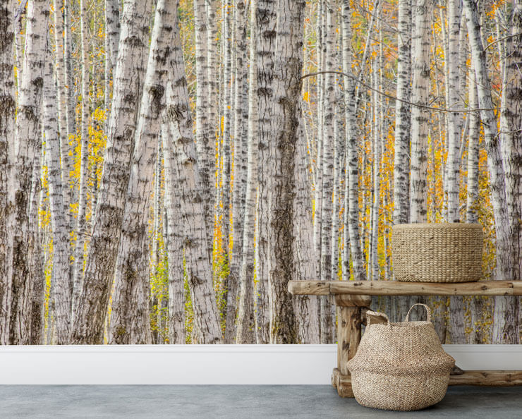 yellow and white forest wallpaper in room with wicker basket