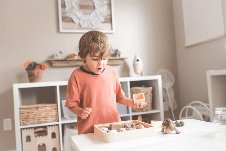 brown haired boy at home playing with box of shells whilst home schooling