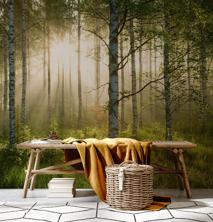 sunlit white birch tree woodland wallpaper with wooden bench and mustard throw
